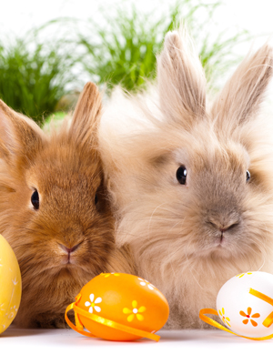 Fototapeta Wielkanoc