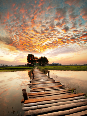 Fototapeta Do salonu