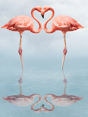 Fototapeta Do sypialni